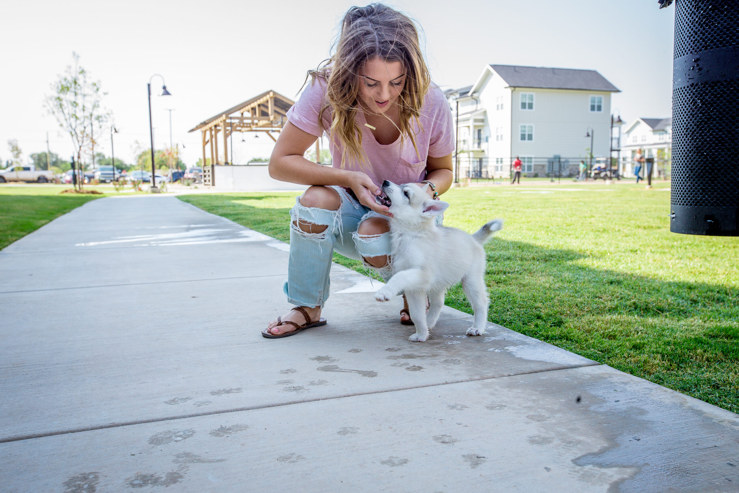 wildwood lubbock apartments pet friendly woman playig with husky puppy