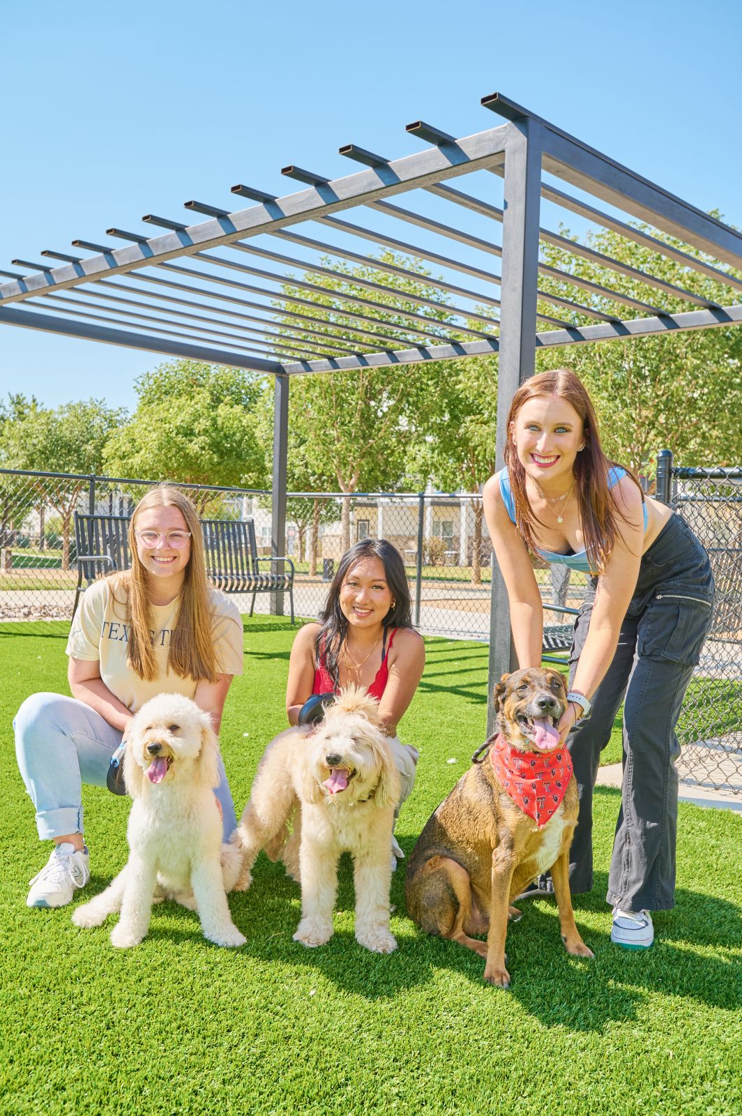 Three girls smile with three dogs